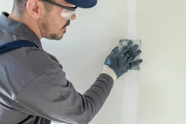 Best Residential Painting  in Ionia, MI