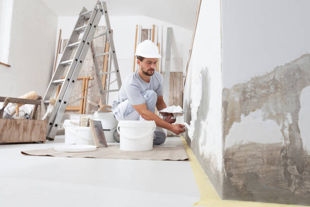 Best Drywall Texturing  in Ionia, MI